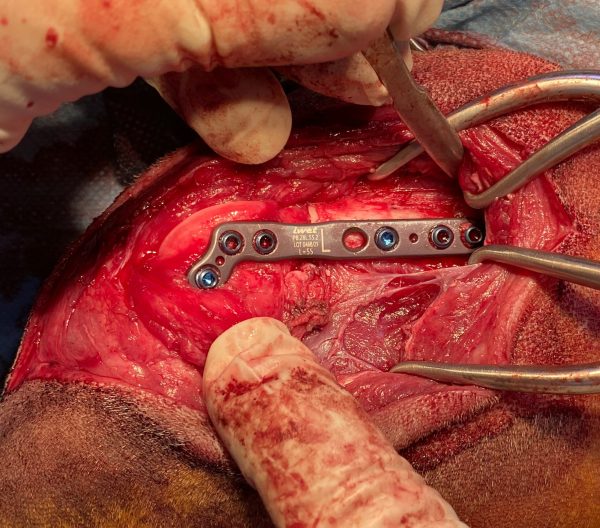 8E6A1829-5154-4C79-BD3F-49C7FDB41CC7